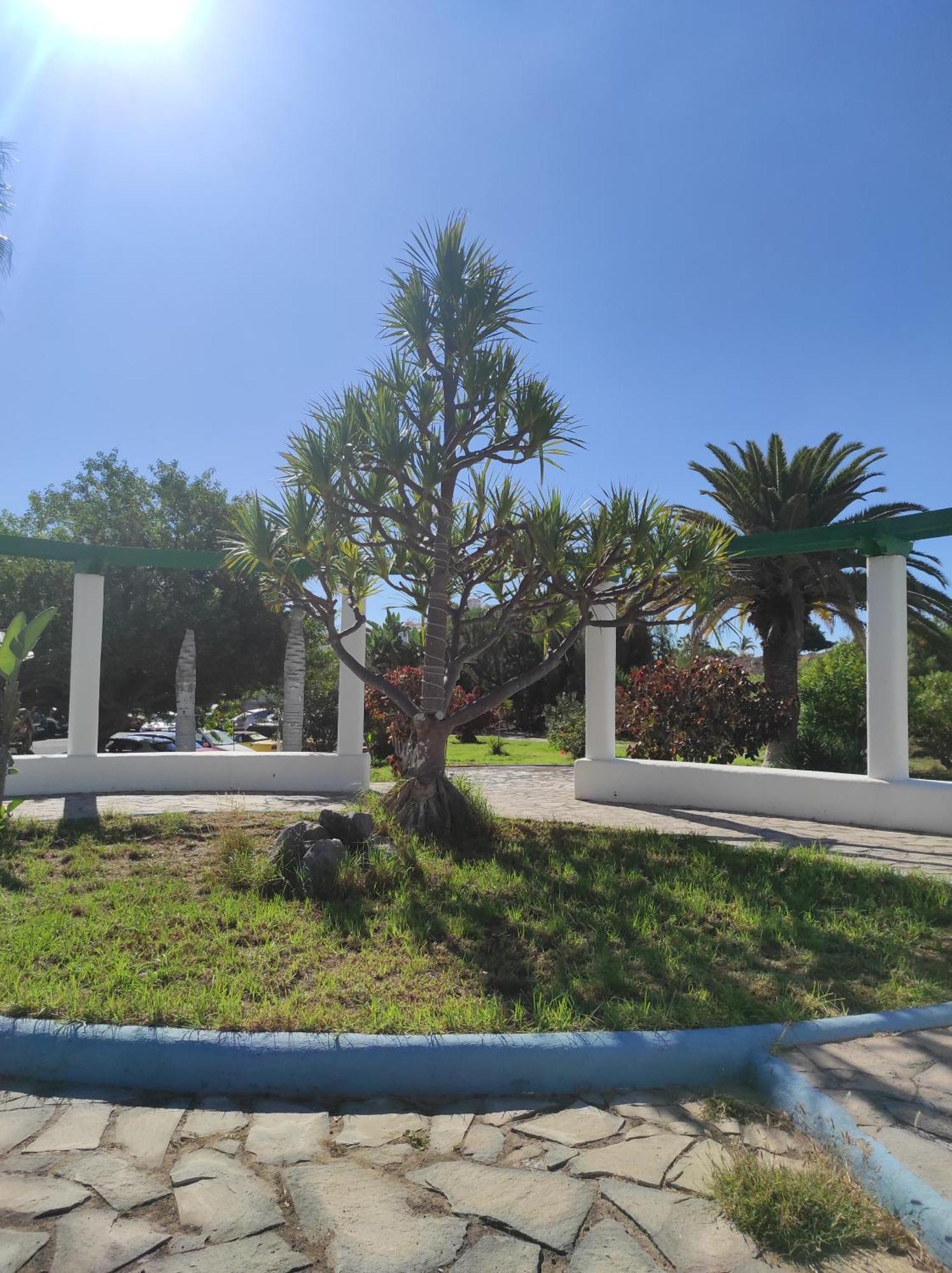 Maria Luxury Apartament Golf Del Sur Tenerife 圣米格尔德阿沃纳 外观 照片